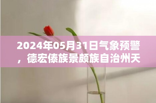2024年05月31日气象预警，德宏傣族景颇族自治州天气预报 大部小雨