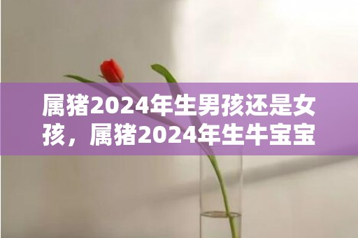 属猪2024年生男孩还是女孩，属猪2024年生牛宝宝好吗