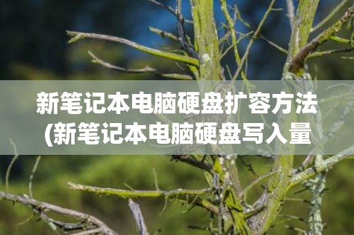 新笔记本电脑硬盘扩容方法(新笔记本电脑硬盘写入量)
