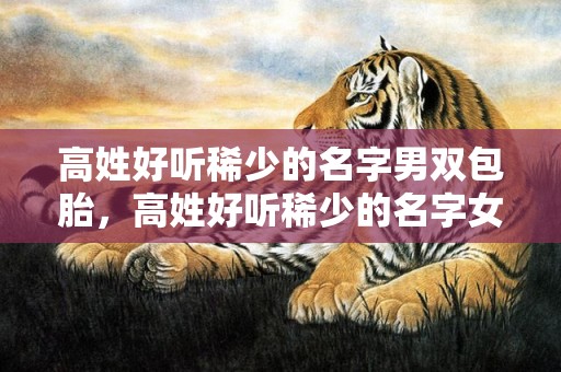 高姓好听稀少的名字男双包胎，高姓好听稀少的名字女孩
