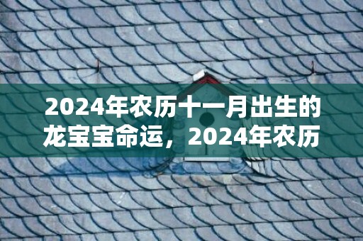 2024年农历十一月出生的龙宝宝命运，2024年农历十月十八出生男孩起名宜用字