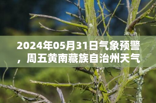 2024年05月31日气象预警，周五黄南藏族自治州天气预报 大部多云