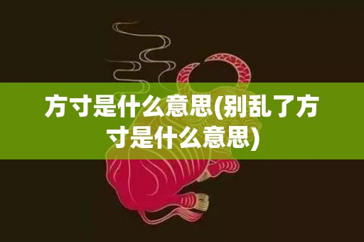 方寸是什么意思(别乱了方寸是什么意思)