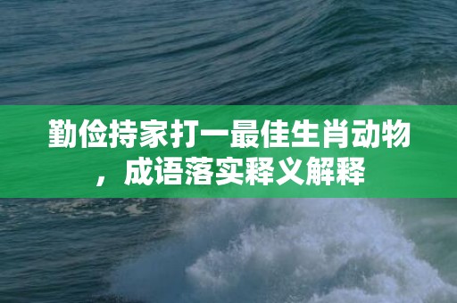 勤俭持家打一最佳生肖动物，成语落实释义解释
