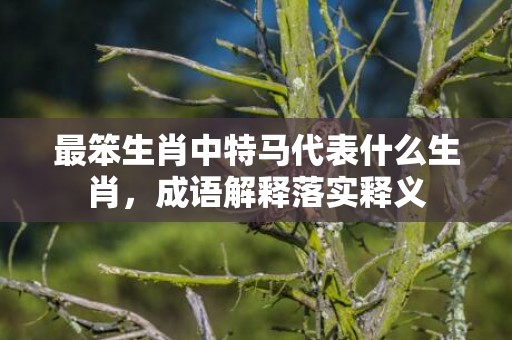 最笨生肖中特马代表什么生肖，成语解释落实释义