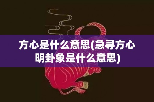 方心是什么意思(急寻方心明卦象是什么意思)