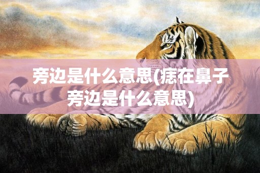 旁边是什么意思(痣在鼻子旁边是什么意思)