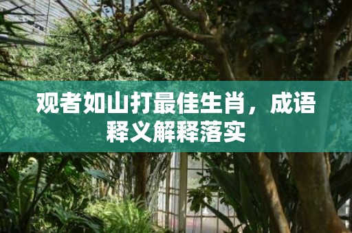 观者如山打最佳生肖，成语释义解释落实