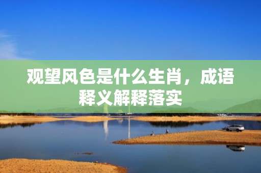 观望风色是什么生肖，成语释义解释落实