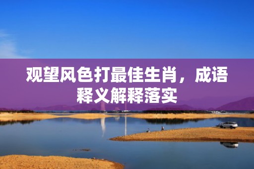 观望风色打最佳生肖，成语释义解释落实