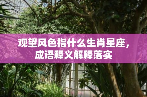 观望风色指什么生肖星座，成语释义解释落实插图