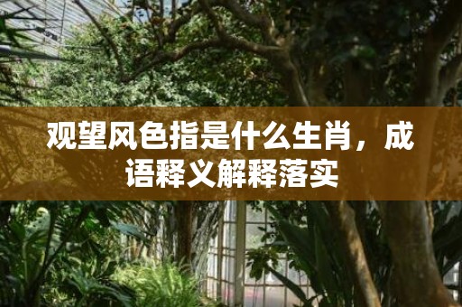 观望风色指是什么生肖，成语释义解释落实插图