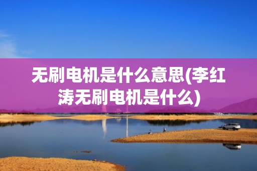 无刷电机是什么意思(李红涛无刷电机是什么)