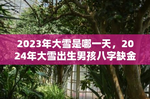 2023年大雪是哪一天，2024年大雪出生男孩八字缺金名字推荐