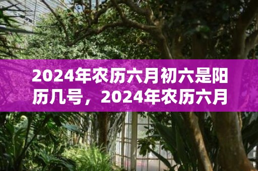 2024年农历六月初六是阳历几号，2024年农历六月二十八出生的虎宝宝好不好