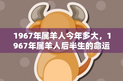 1967年属羊人今年多大，1967年属羊人后半生的命运