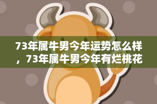 73年属牛男今年运势怎么样，73年属牛男今年有烂桃花吗