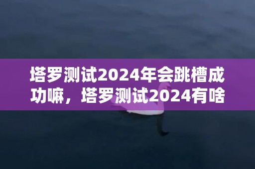 塔罗测试2024年会跳槽成功嘛，塔罗测试2024有啥好事