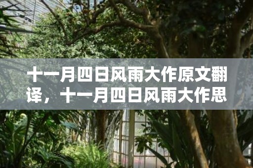 十一月四日风雨大作原文翻译，十一月四日风雨大作思想感情