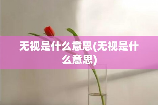 无视是什么意思(无视是什么意思)