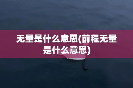 无量是什么意思(前程无量是什么意思)