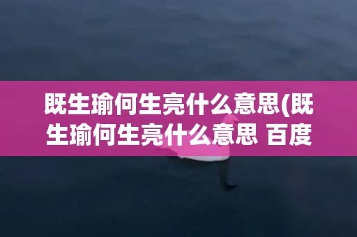 既生瑜何生亮什么意思(既生瑜何生亮什么意思 百度知道)
