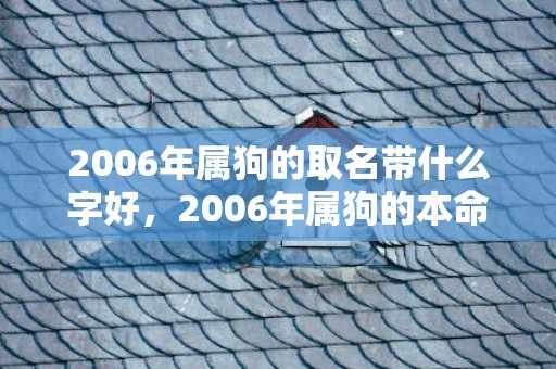 2006年属狗的取名带什么字好，2006年属狗的本命年是哪一年