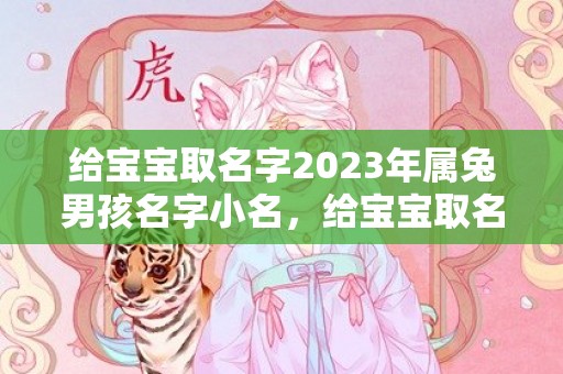 给宝宝取名字2023年属兔男孩名字小名，给宝宝取名字2024年属虎男孩名字