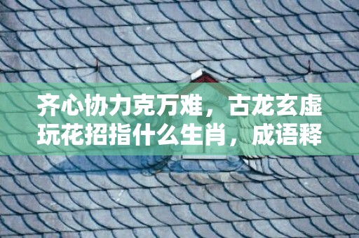 齐心协力克万难，古龙玄虚玩花招指什么生肖，成语释义解释落实