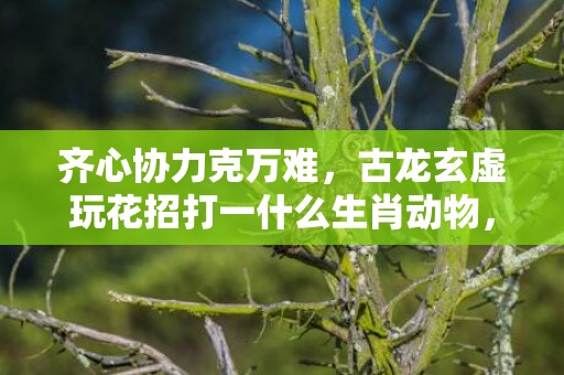齐心协力克万难，古龙玄虚玩花招打一什么生肖动物，成语释义解释落实