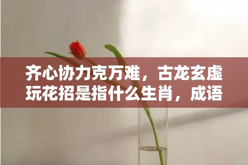 齐心协力克万难，古龙玄虚玩花招是指什么生肖，成语释义解释落实