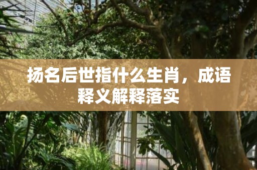 扬名后世指什么生肖，成语释义解释落实