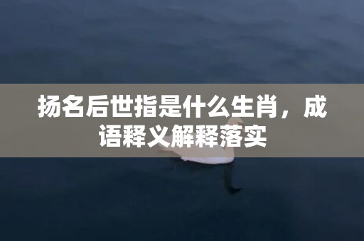 扬名后世指是什么生肖，成语释义解释落实