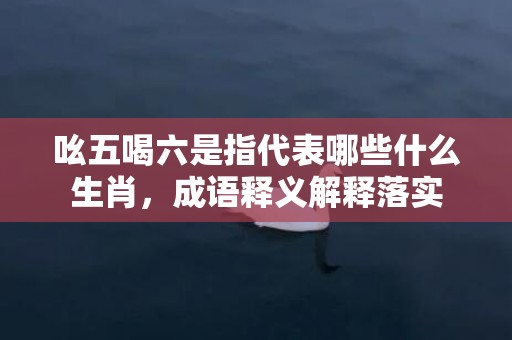 吆五喝六是指代表哪些什么生肖，成语释义解释落实