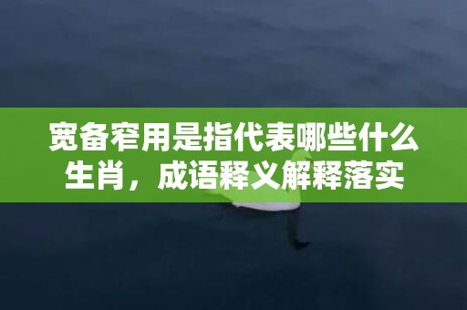 宽备窄用是指代表哪些什么生肖，成语释义解释落实