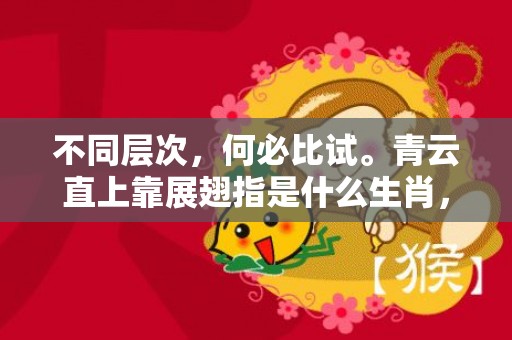 不同层次，何必比试。青云直上靠展翅指是什么生肖，成语释义解释落实