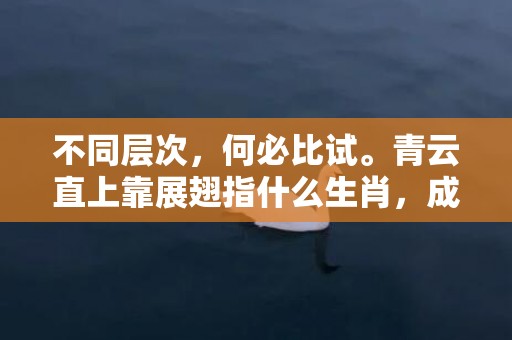 不同层次，何必比试。青云直上靠展翅指什么生肖，成语释义解释落实