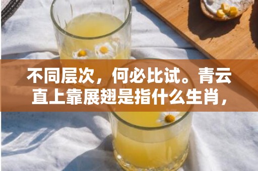 不同层次，何必比试。青云直上靠展翅是指什么生肖，成语释义解释落实