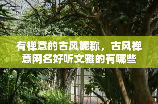 有禅意的古风昵称，古风禅意网名好听文雅的有哪些