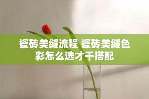瓷砖美缝流程 瓷砖美缝色彩怎么选才干搭配