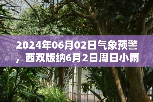 2024年06月02日气象预警，西双版纳6月2日周日小雨转阵雨最高温度31度