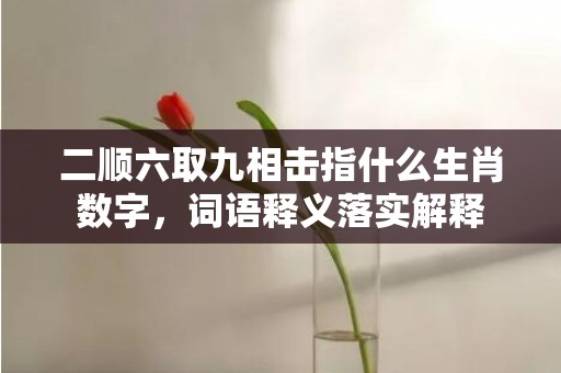 二顺六取九相击指什么生肖数字，词语释义落实解释