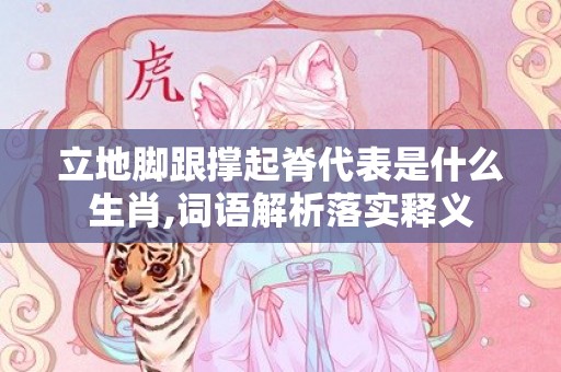 立地脚跟撑起脊代表是什么生肖,词语解析落实释义
