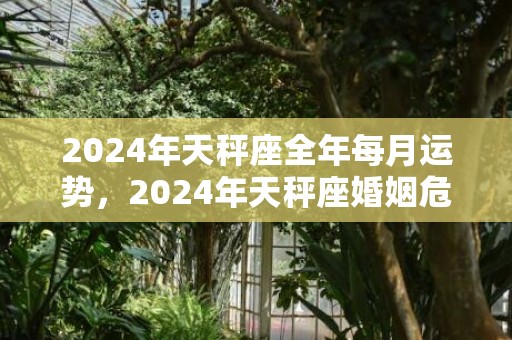 2024年天秤座全年每月运势，2024年天秤座婚姻危机离婚