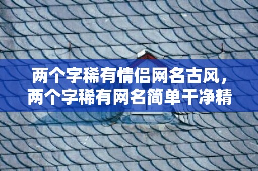 两个字稀有情侣网名古风，两个字稀有网名简单干净精选