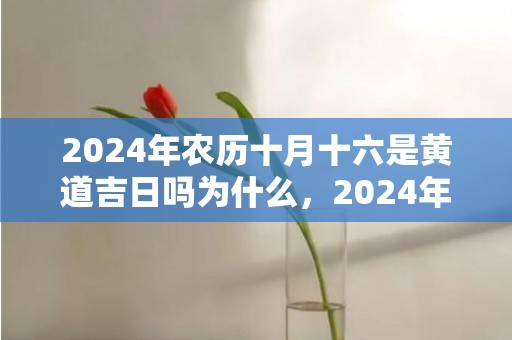 2024年农历十月十六是黄道吉日吗为什么，2024年农历十一月廿八出生的女孩五行八字分析