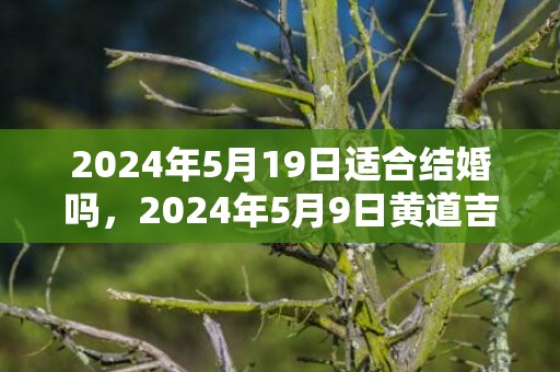 2024年5月19日适合结婚吗，2024年5月9日黄道吉日查询