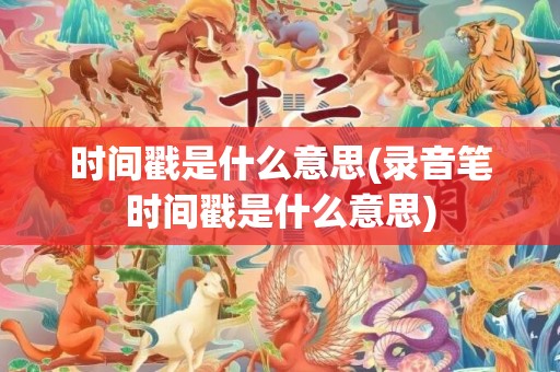 时间戳是什么意思(录音笔时间戳是什么意思)