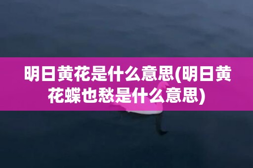 明日黄花是什么意思(明日黄花蝶也愁是什么意思)