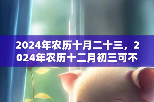 2024年农历十月二十三，2024年农历十二月初三可不可以搬新家